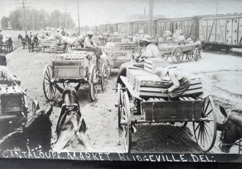 PC-Cantaloupe Market ca 1915_edited-2